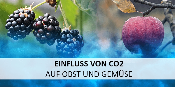 CO2-Detektion: Optimierungspotential im Reifeprozess von Obst und Gemüse durch Kohlendioxidüberwachung