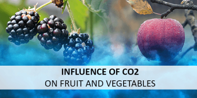 CO2 detection: Enhanced ripening process of fruit and vegetables through carbon dioxide monitoring